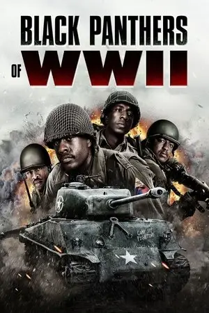 watch Black Panthers of WWII