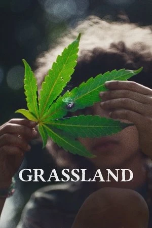 watch Grassland