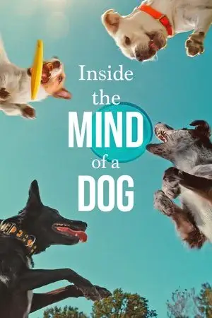 watch Inside the Mind of a Dog