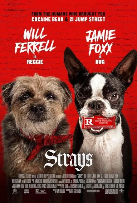 watch Strays