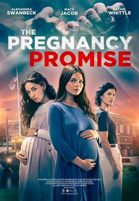 watch The Pregnancy Promise
