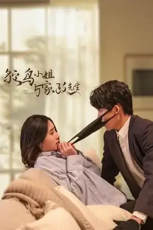 Dear Miss Ostrich - مشابه لـ